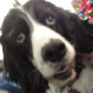 Meet your Posher, Gary